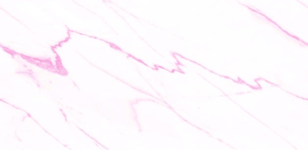 Anuj PGVT 1200x600mm High Gloss — Model 24042 Sugar Torano Blue