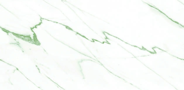 Anuj PGVT 1200x600mm High Gloss — Model 24046 Pietra Graphite