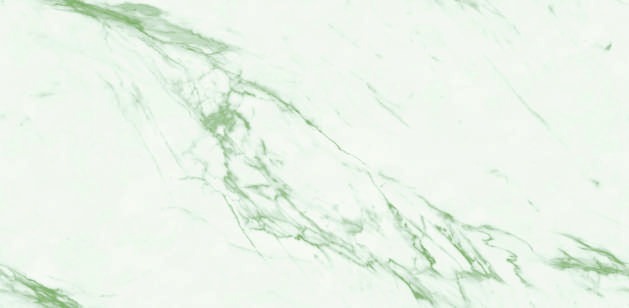 Anuj PGVT 1200x600mm High Gloss — Model 24047 Nero Antico Silk
