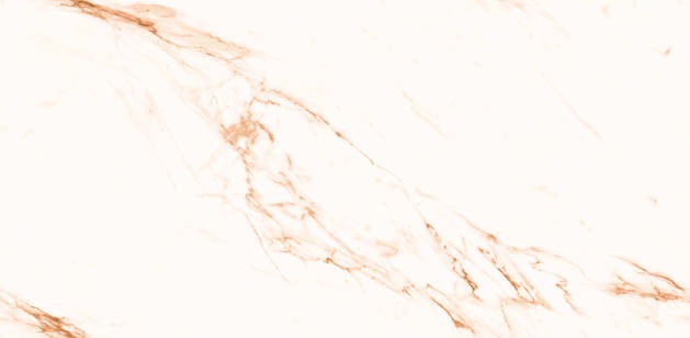 Anuj PGVT 1200x600mm High Gloss — Model 24050 Silver Shadow Travertine
