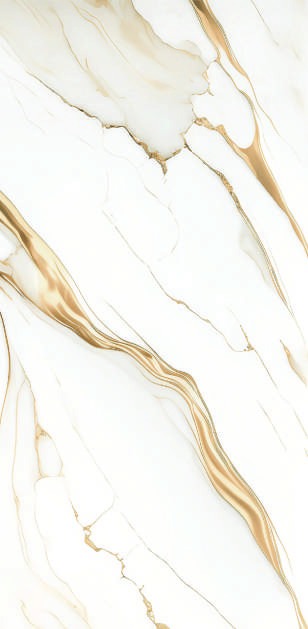 Anuj PGVT 1200x600mm High Gloss — Model 24058 Golden Portoro