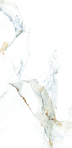 Anuj PGVT 1200x600mm High Gloss — Model 24060 Urban Concrete Ash