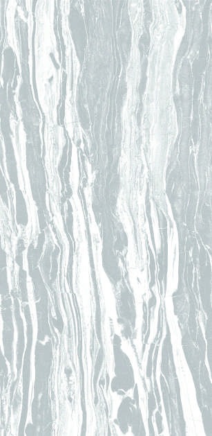 Anuj PGVT 1200x600mm High Gloss — Model 24066 ASV Blaze White Gold