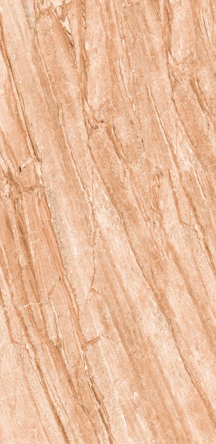Anuj PGVT 1200x600mm High Gloss — Model 24067 Royal Crema Marfil
