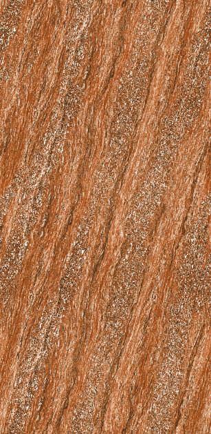 Anuj PGVT 1200x600mm High Gloss — Model 24069 Nero Antico Silk