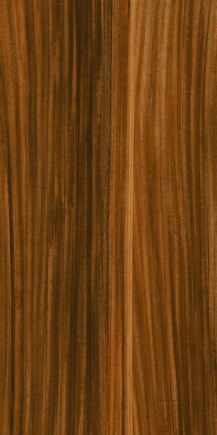 Anuj PGVT 1200x600mm High Gloss — Model 24005 Royal Crema Marfil