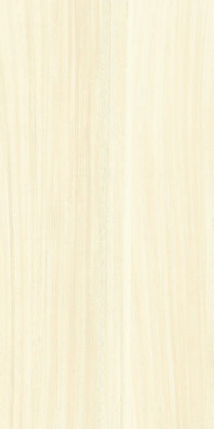 Anuj PGVT 1200x600mm High Gloss — Model 24009 Botticino Beige Soft