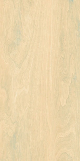 Anuj PGVT 1200x600mm High Gloss — Model 24018 Onyx Crystal Aqua