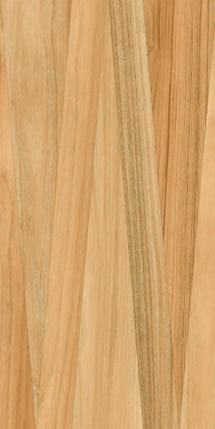 Anuj PGVT 1200x600mm High Gloss — Model 24019 Golden Portoro