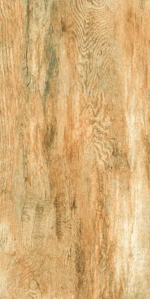 Anuj PGVT 1200x600mm High Gloss — Model 24028 Royal Crema Marfil