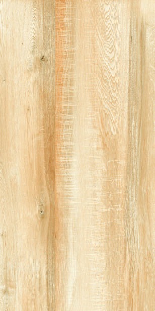 Anuj PGVT 1200x600mm High Gloss — Model 24032 Venatino White Gloss