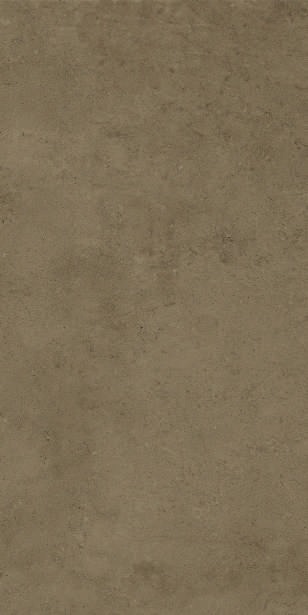 Anuj PGVT 1200x600mm High Gloss — Model 24038 Travertino Silver