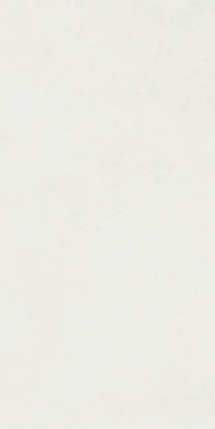 Anuj PGVT 1200x600mm High Gloss — Model 24039 Bianco Statuario