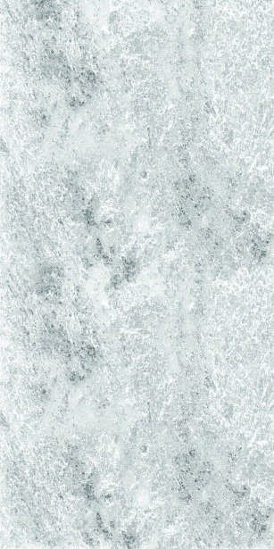 Anuj PGVT 1200x600mm High Gloss — Model 24053 Nero Antico Silk