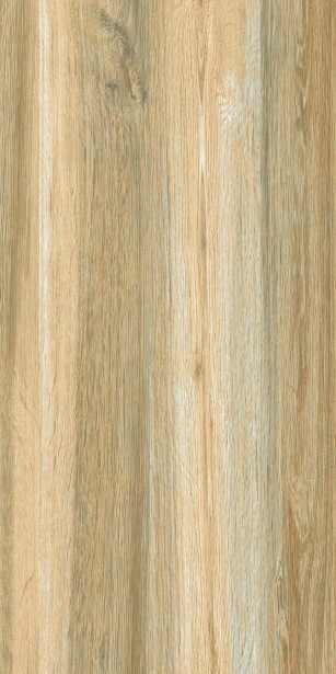 Anuj PGVT 1200x600mm High Gloss — Model 24066 Onyx Cristallo Sky