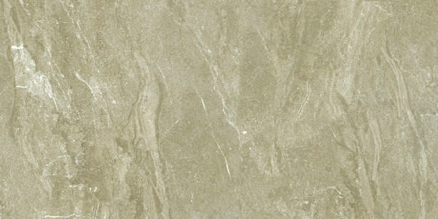 Anuj PGVT 1200x600mm High Gloss — Model 24001 Bianco Statuario