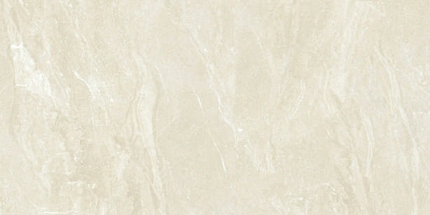 Anuj PGVT 1200x600mm High Gloss — Model 24005 Urban Concrete Ash