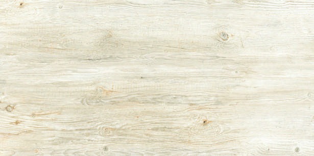 Anuj PGVT 1200x600mm High Gloss — Model 24006 Lappato Jaiswal Sand