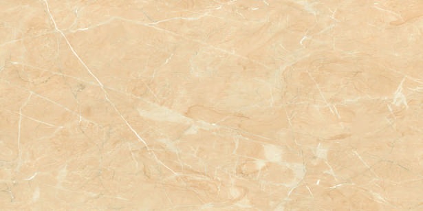 Anuj PGVT 1200x600mm High Gloss — Model 24011 ASV Blaze White Gold