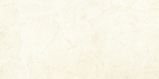 Anuj PGVT 1200x600mm High Gloss — Model 24014 Nero Antico Silk