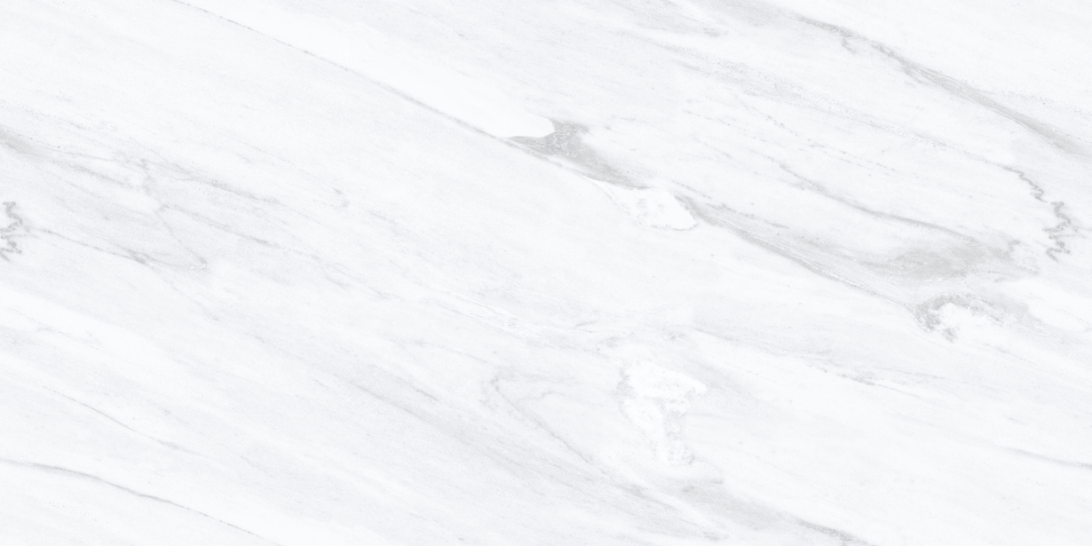Anuj PGVT 1200x600mm High Gloss — Model 24023 Bianco Statuario