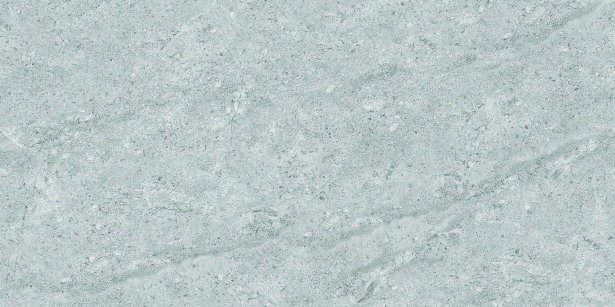 Anuj PGVT 1200x600mm High Gloss — Model 24037 Nero Antico Silk