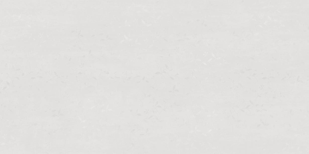 Anuj PGVT 1200x600mm High Gloss — Model 24067 Travertino Silver