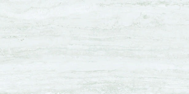 Anuj PGVT 1200x600mm High Gloss — Model 24068 Bianco Statuario