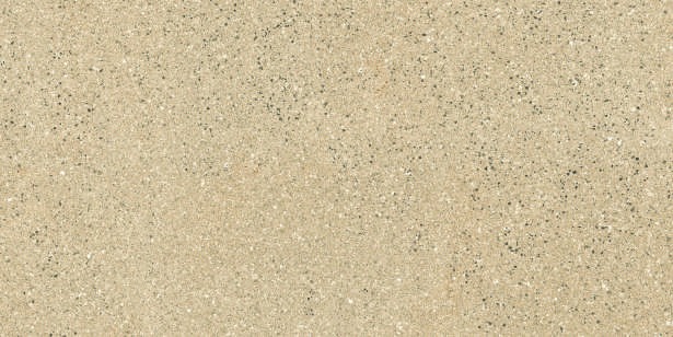 Anuj PGVT 1200x600mm High Gloss — Model 24082 Nero Antico Silk