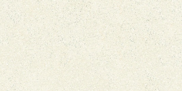 Anuj PGVT 1200x600mm High Gloss — Model 24001 Bronze Pulpis