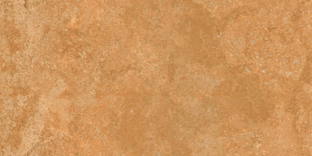Anuj PGVT 1200x600mm High Gloss — Model 24006 Bianco Statuario