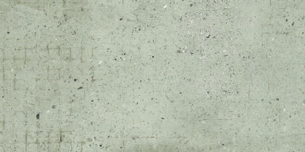 Anuj PGVT 1200x600mm High Gloss — Model 24024 Bronze Pulpis