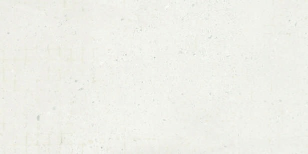Anuj PGVT 1200x600mm High Gloss — Model 24028 Bianco Statuario