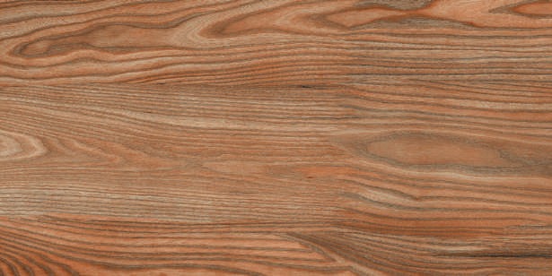 Anuj Water-Repellent Bathroom Wall Tile 300x600mm — Concept 120 Sand Dunes 3D Relief