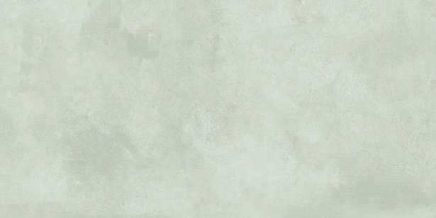 Anuj Water-Repellent Bathroom Wall Tile 300x600mm — Concept 121 Blossom Flora Satin