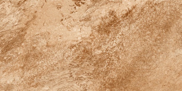 Anuj Water-Repellent Bathroom Wall Tile 300x600mm — Concept 122 Calacatta Gold Dado