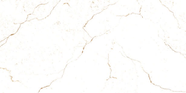 Anuj Water-Repellent Bathroom Wall Tile 300x600mm — Concept 101 Calacatta Gold Dado