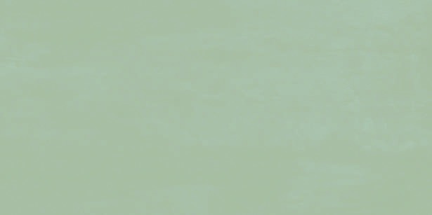 Anuj Water-Repellent Bathroom Wall Tile 300x600mm — Concept 103 Calacatta Gold Dado