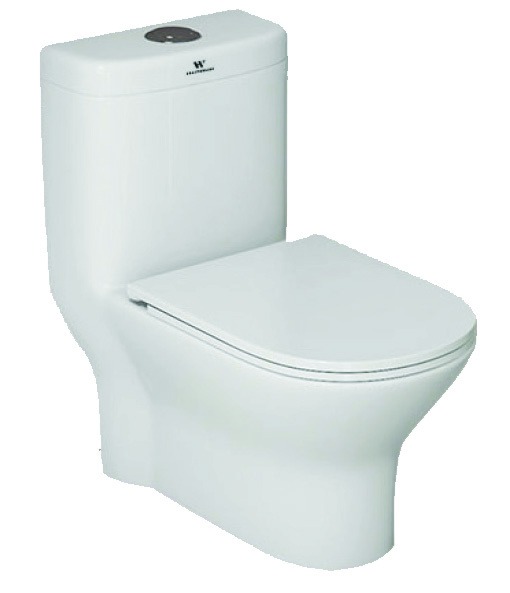 Healthware Syphonic Rimless Closet — Vogue Concealed Trap WC