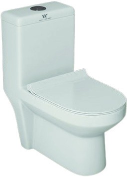 Healthware Syphonic Rimless Closet — Vogue Concealed Trap WC