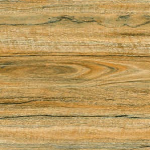 Anuj SHG Vitrified Tile 600x600mm — Seasoned Burma Teak Wood