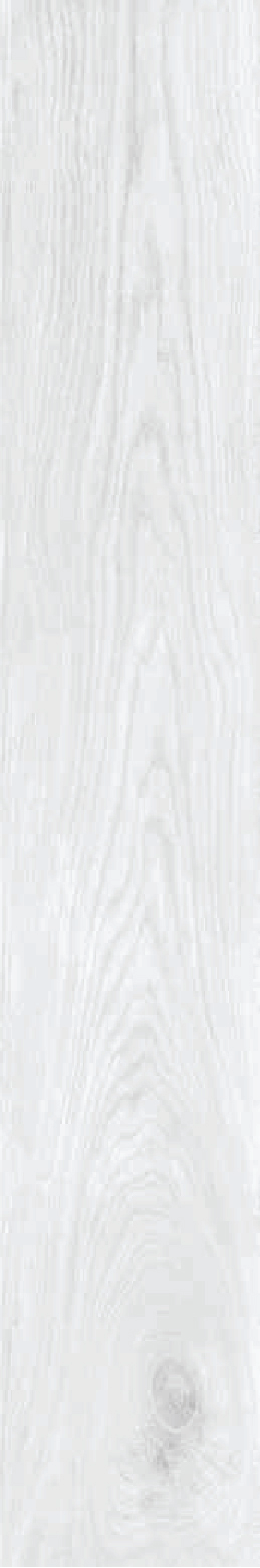 Anuj Wood Plank Vitrified Tile 1200x200mm — African Wood Grey