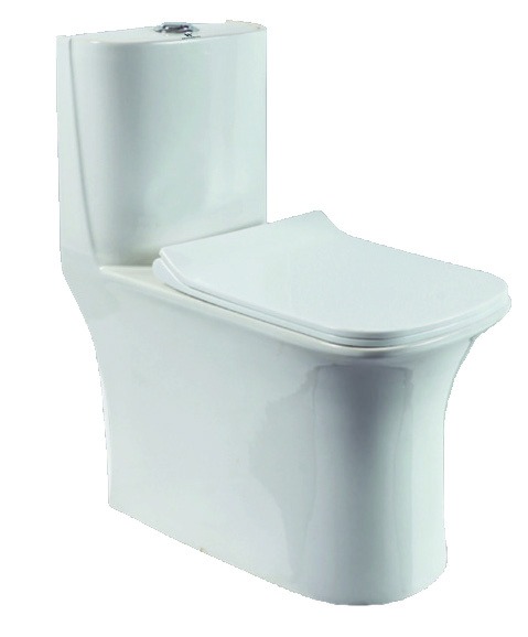 Healthware Syphonic Rimless Single Piece Closet (300mm S-Trap)
